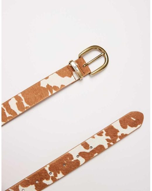 Levi's Blue Skinny Cow Print Belt