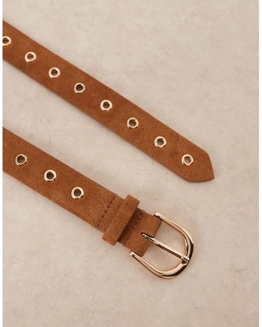Accessorize Gray Premium Grommets Belt