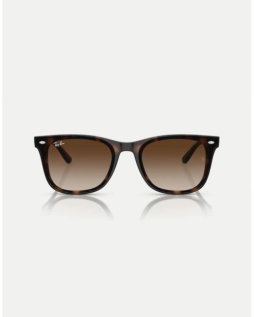 Ray-Ban Brown Sunglasses