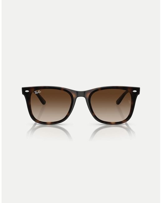 Ray-Ban Brown Sunglasses