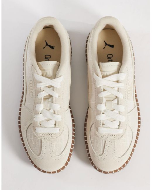 PUMA White – palermo – stroh-sneaker