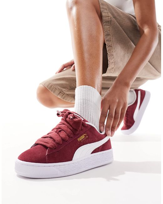 Puma suede bordeaux blanc online