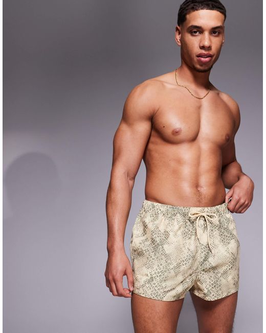 ASOS Gray Swim Shorts for men