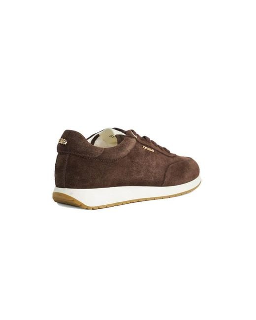 Dune Brown Ettah Trainers