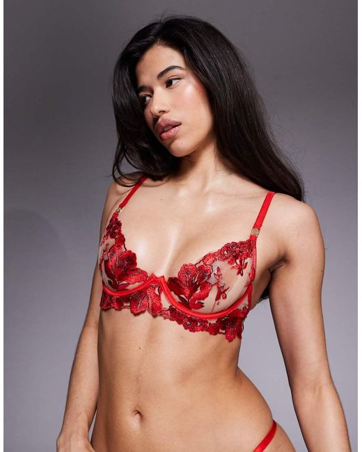 Bluebella Lavanya Floral Embriodered Bra