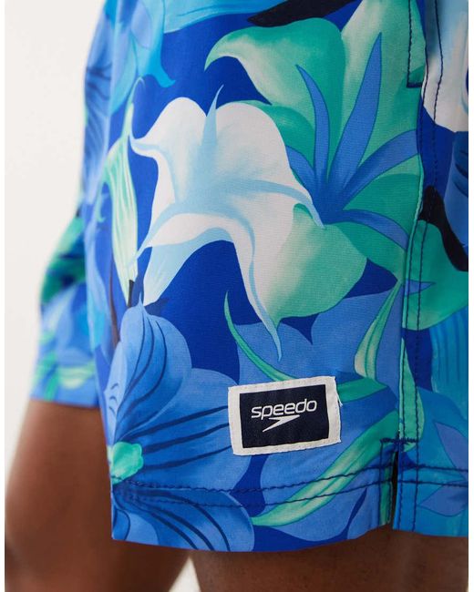 Speedo Blue Printed 16' Redondo Edge Swim Shorts for men