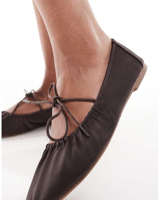 Iris di SEQWL in Brown