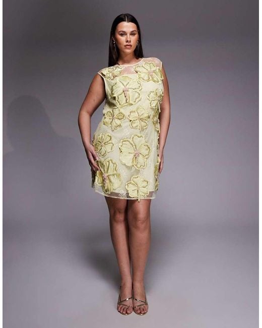 ASOS Green Curve Embellished 3d Floral Lace Mini Dress With Drop Pearls