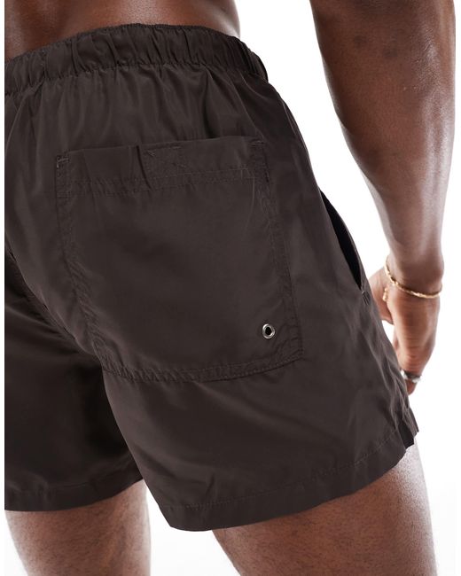 Brave Soul Brown Swim Trunks for men