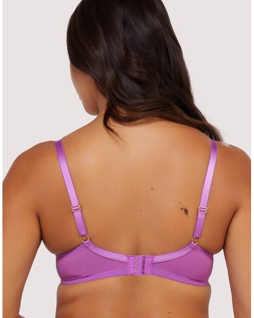 Playful Promises Purple Rosanna Long Line Embroidery Plunge Bra