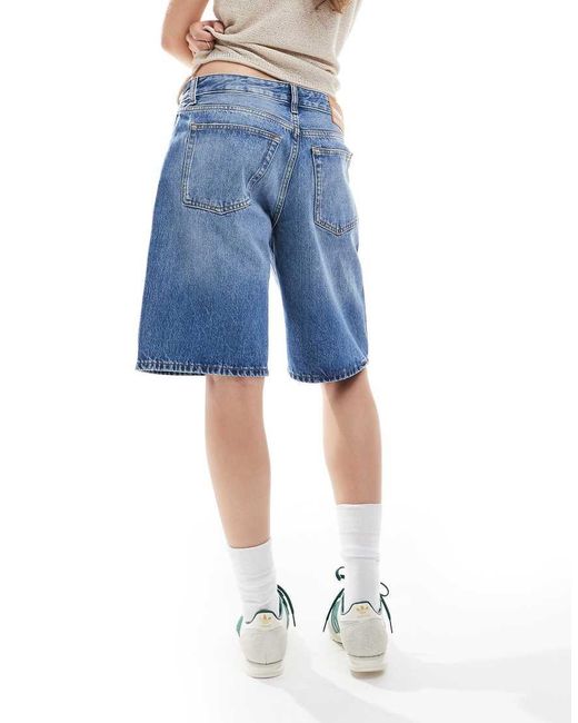 Dr. Denim Lea in het Blue