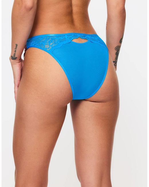 Ann Summers Red Caged Hibiscus Brazilian
