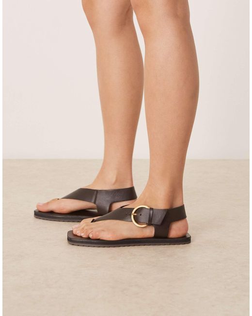 ASOS Natural – firth – flache zehensteg-sandalen aus leder