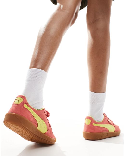 PUMA Pink Palermo Trainers