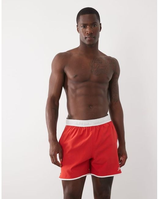 Speedo Red Logo Volley 16' Swim Shorts for men
