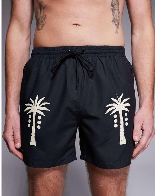 South Beach Gray Palm Tree Swimshort for men