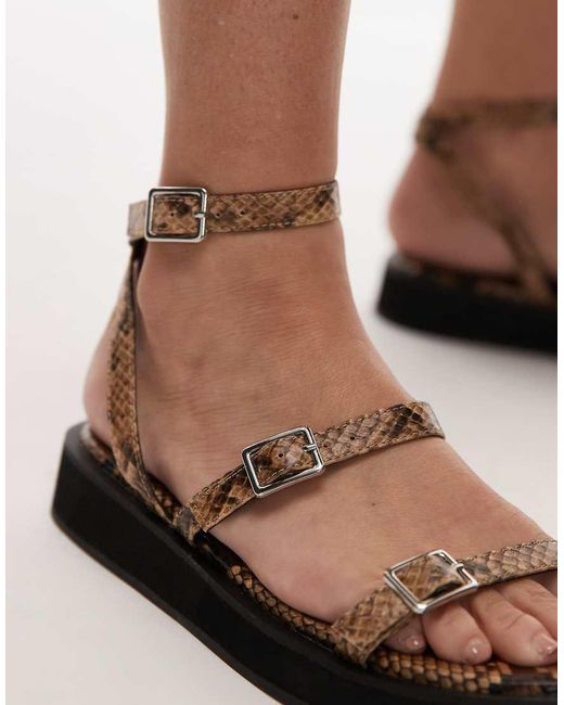 TOPSHOP Brown Jake Buckle Sandals