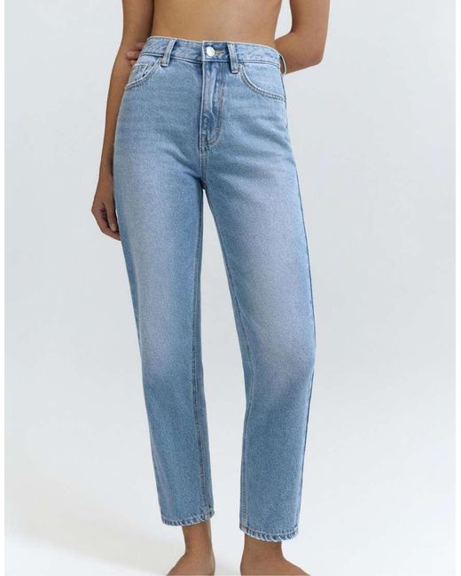 Pull&Bear Petite in het Blue