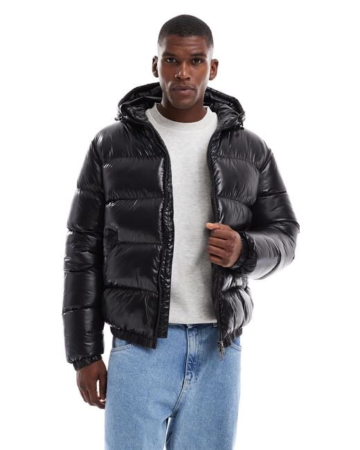 Threadbare Blue High Shine Hooded Puffer Jacket for men