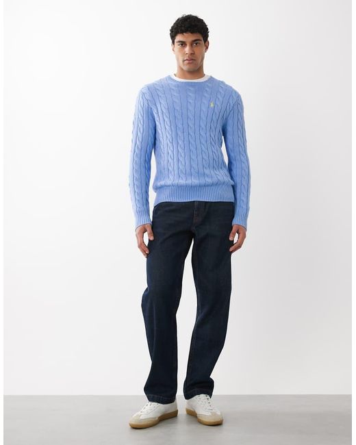 Polo Ralph Lauren Blue Icon Logo Cable Jumper for men