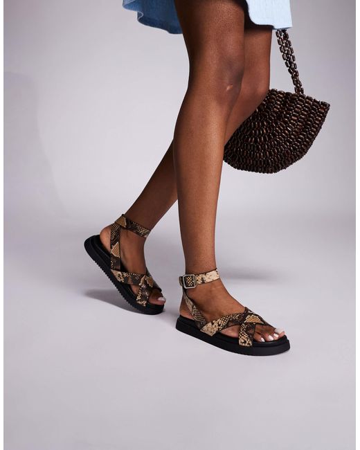 Steve Madden Brown My Bestie Sandals With Strap Buckle