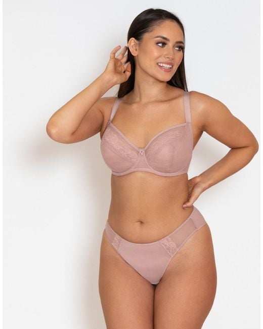 Curvy Kate Pink Eye Spy Non Padded Sheer Mesh And Lace Bra