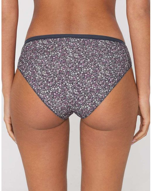 Tezenis Blue Printed Cotton Briefs