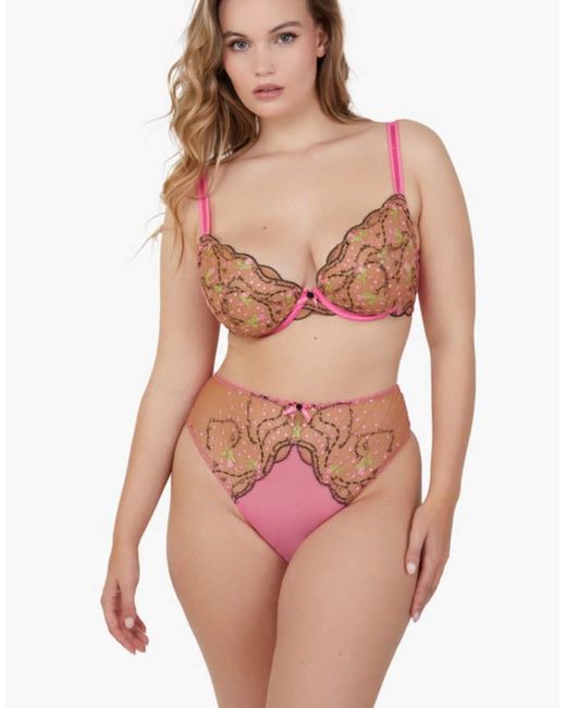 Playful Promises Brown Spank Me & Nude Embroidery Plunge Bra