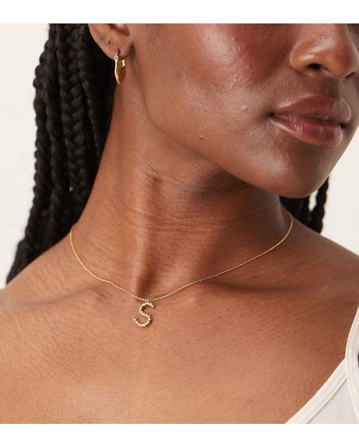 Accessorize Z Collection in het Brown