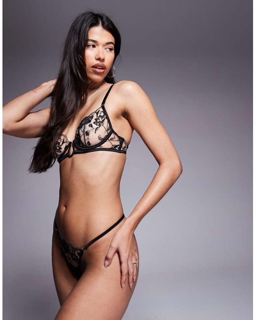 Bluebella Black Morella Thong