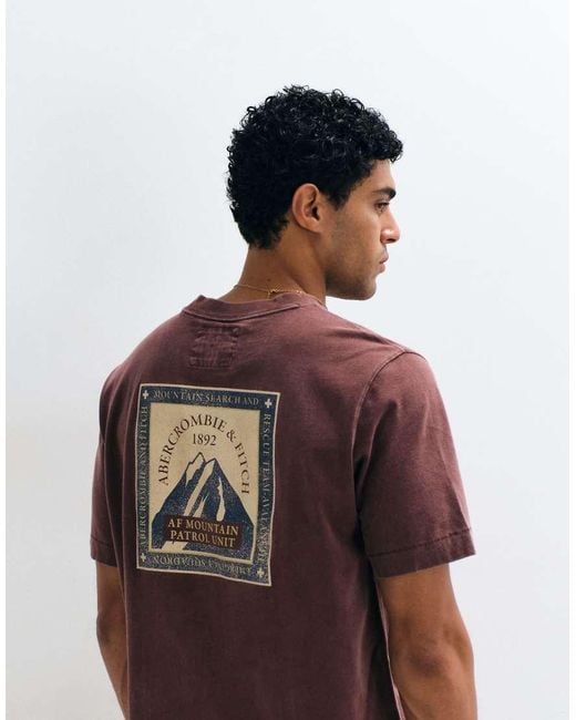 Abercrombie & Fitch Red Mountain Back Graphic Heavyweight T-shirt for men