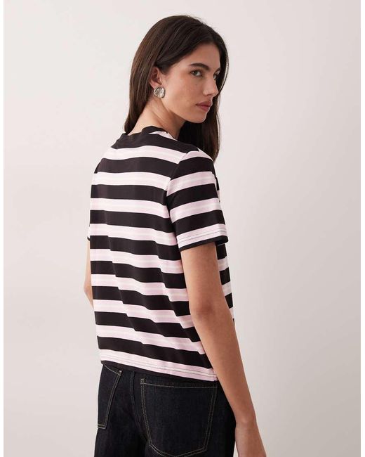 Mango Brown Classic T-Shirt