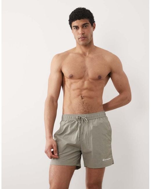 Champion Gray Swim Shorts for men
