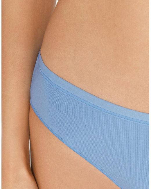Tezenis Blue Cotton Knickers