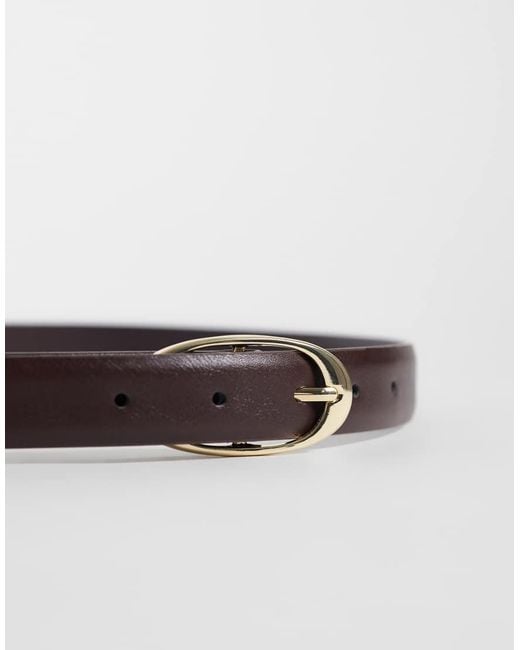 Mango Brown Oval Buckle Classic Belt