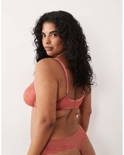 ASOS Orange Asos Design Curve Lola Lace Lingerie Thong