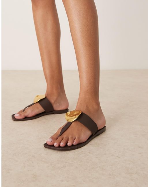 ASOS Natural Flatter Metal Coin Jelly Flip Flop Sandal