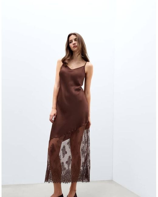 Intimissimi Brown Lace Perfection