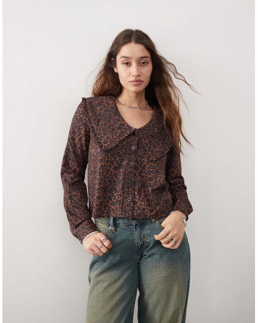 Daisy Street Brown – kastige bluse mit akzentuiertem kragen und leopardenmuster