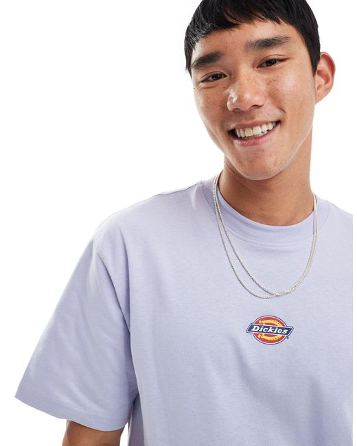 Maple valley - t-shirt a maniche corte lilla con logo centrale di Dickies in Blue