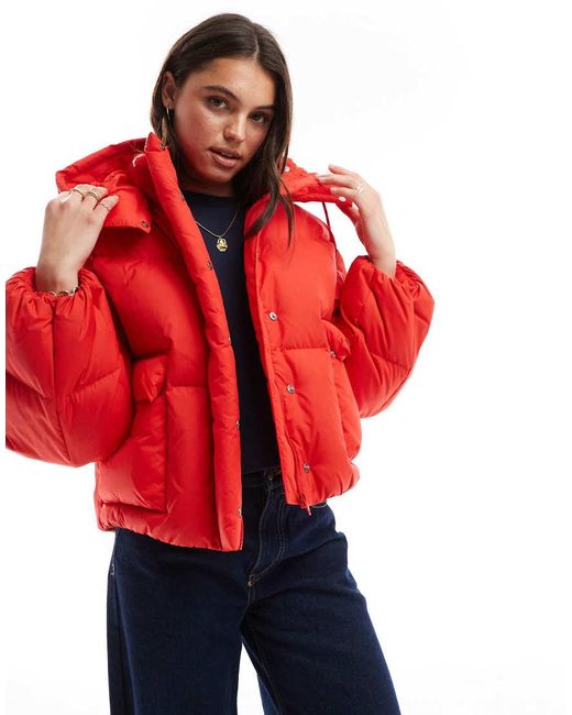 Levi's Red Western Shorty Hooded Nylon Bubble Down Puffer