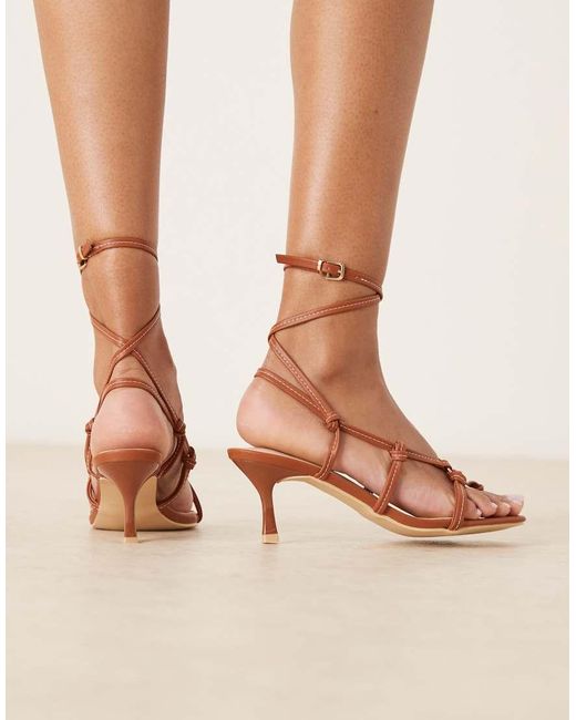 Raid Danika in het Multicolor