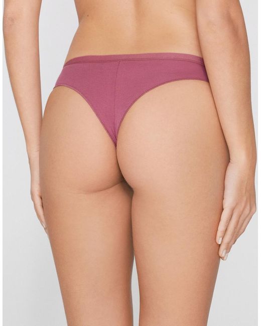 Tezenis Purple Plain Colour Cotton Brazilian Briefs