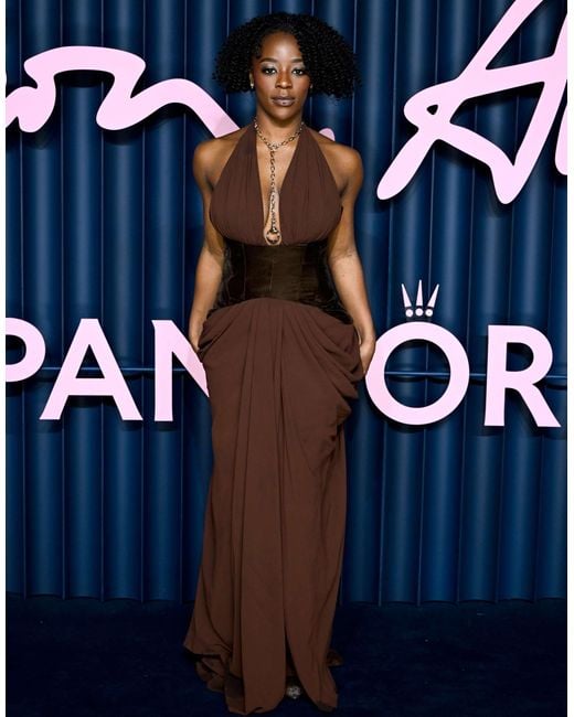 ARRANGE Brown Velvet Plunge Halter Cinch Waist Maxi Dress With Train