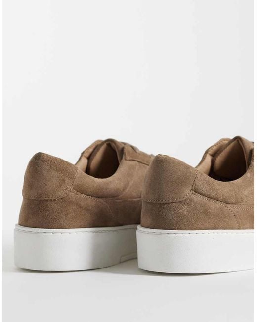 Noak Brown Made for men