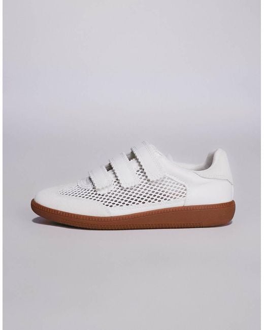 Steve Madden Blue Momentum Velcro Sneakers