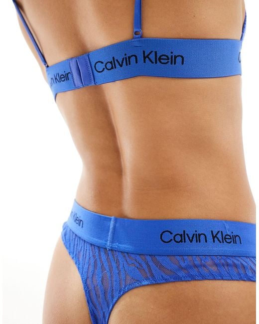 Ck 96 modern - string en dentelle à motif animal Calvin Klein en coloris Blue