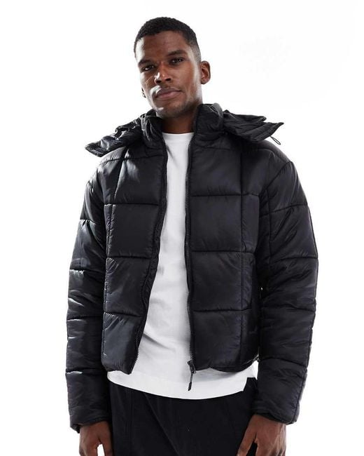 Cotton On Blue Cropped Puffer Jacket for men
