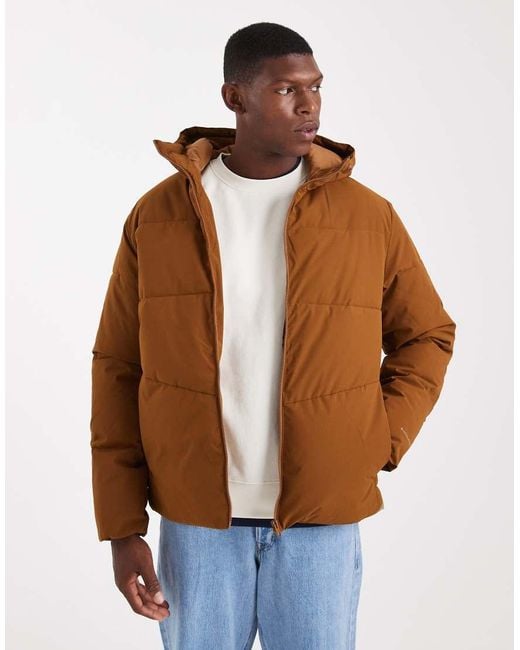 Jack & Jones Brown Hooded Puffer Jacket for men