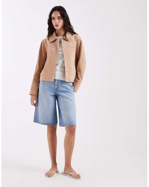 laagam Blue Luana Real Suede Button Down Jacket